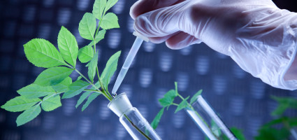 Double Rates in Biotechnology